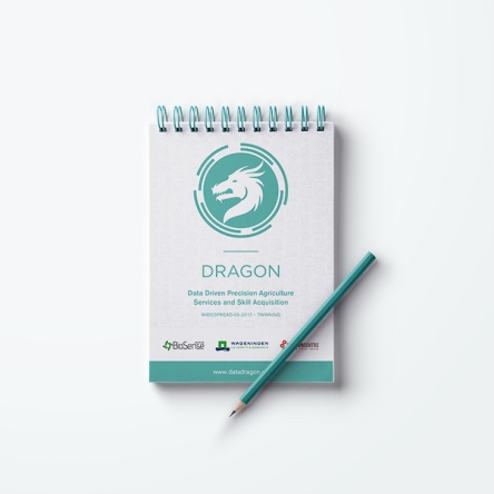 Data Dragon